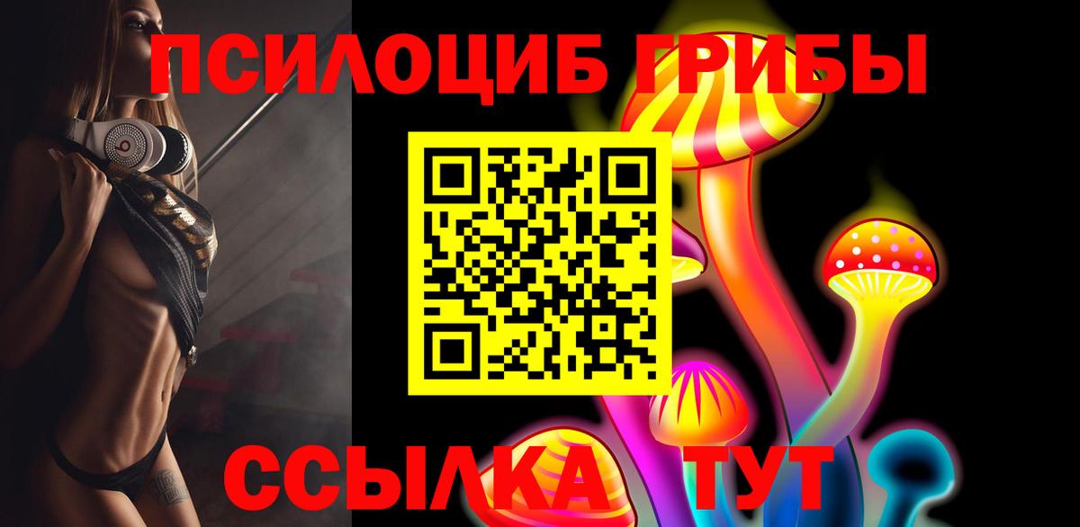Пушкино  Псилоцибиновые грибы Cubensis  Вход с VPN 